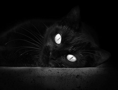 中超联赛中国青年队爆冷 球迷希望坚持青训路线，中超青训大户