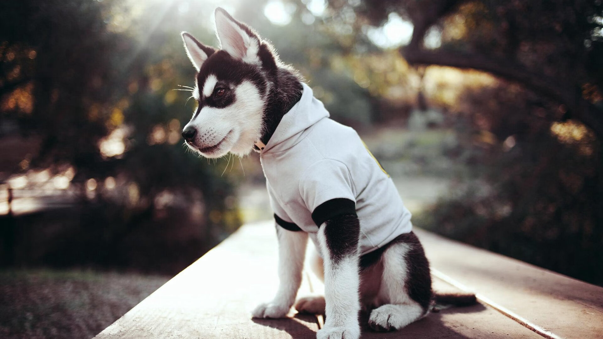 马竞三线联动压制对方反击空间,马竞最后三轮对手