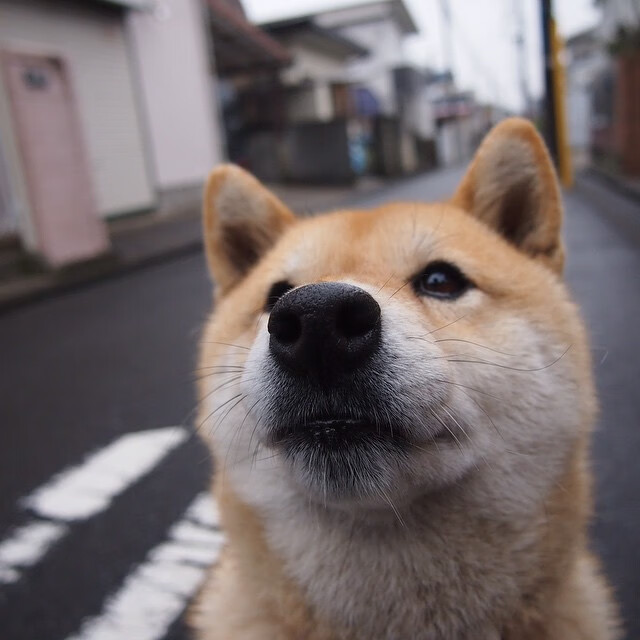 马竞三线联动压制对方反击空间,马竞最后三轮对手